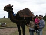 Camel Sculpture Bondi 2010